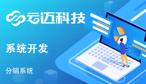 企業(yè)開發(fā)分銷系統(tǒng)有哪些運(yùn)營優(yōu)勢?