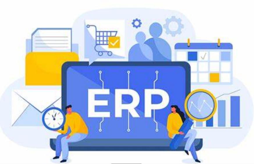 ERP軟件:企業(yè)運(yùn)營的智慧引擎