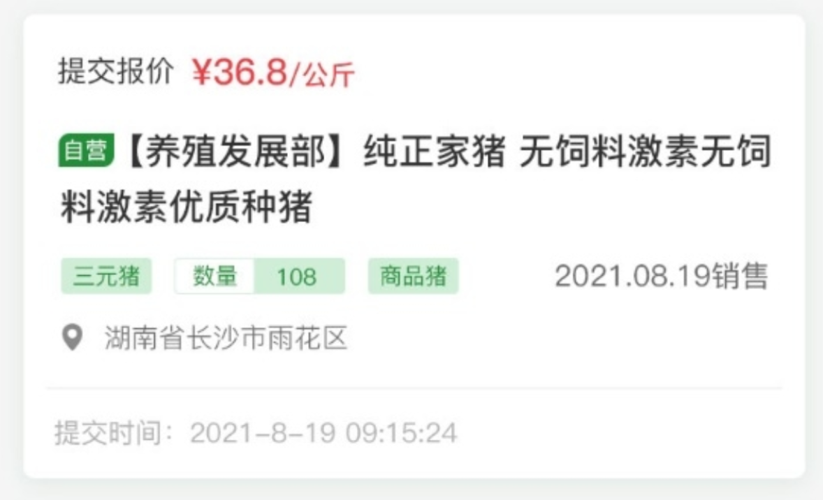 云邁科技生豬競價(jià)系統(tǒng):開啟生豬交易新時(shí)代?
